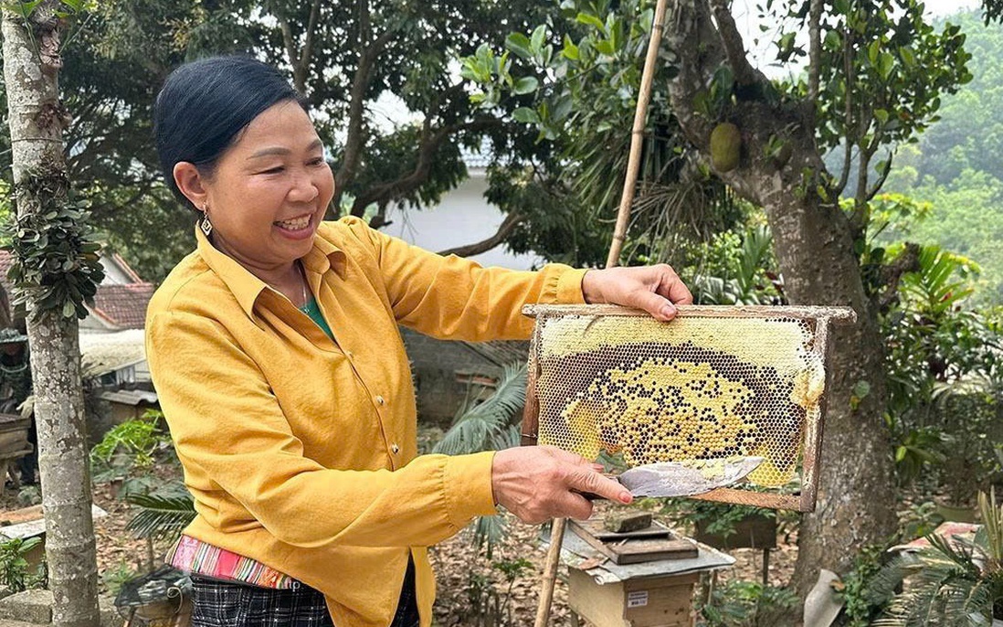 Ninh Bình: Nỗ lực thực hiện giảm nghèo bền vững vùng đồng bào dân tộc thiểu số