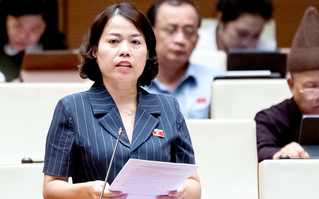 Nghị quyết chỉ định Trưởng đoàn, Phó Trưởng đoàn đại biểu Quốc hội
