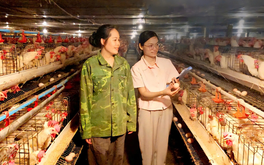 Vĩnh Phúc: 100% cán bộ làm công tác giảm nghèo được tập huấn nâng cao năng lực