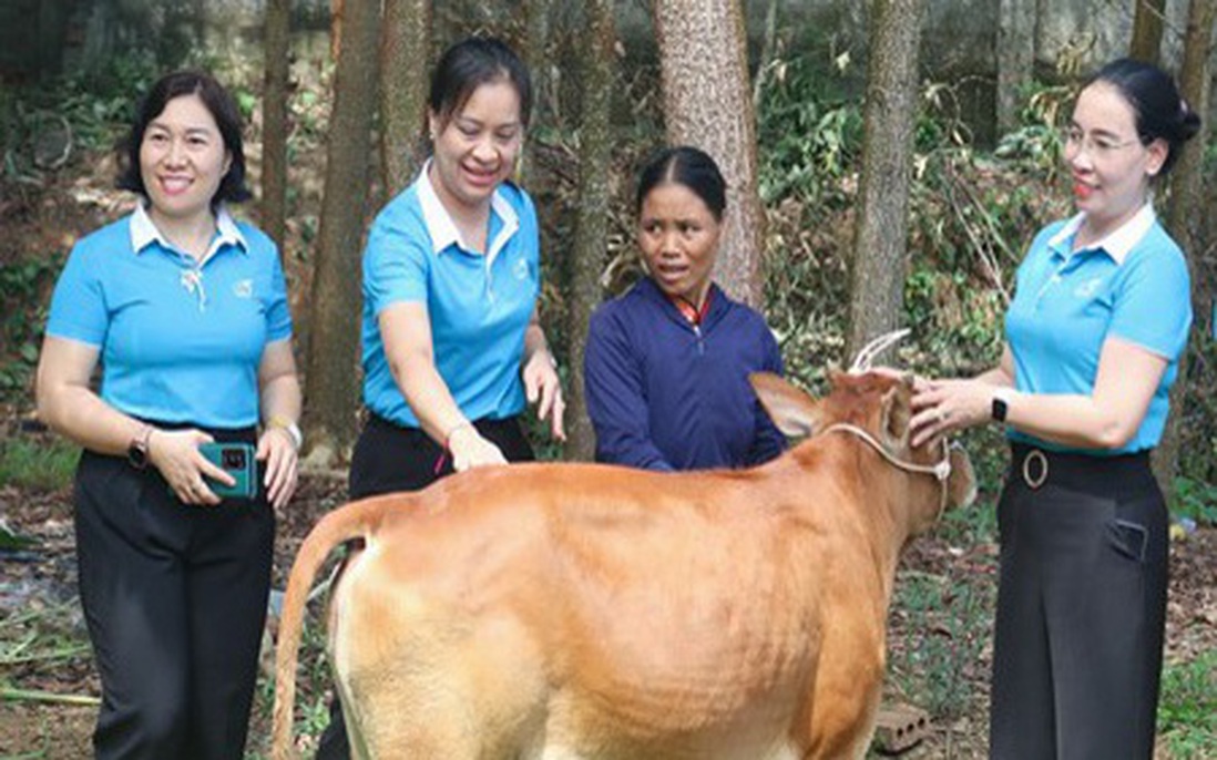 Hơn 65.000 phụ nữ vùng biên xứ Nghệ hưởng lợi từ hành trình xóa nghèo thông tin