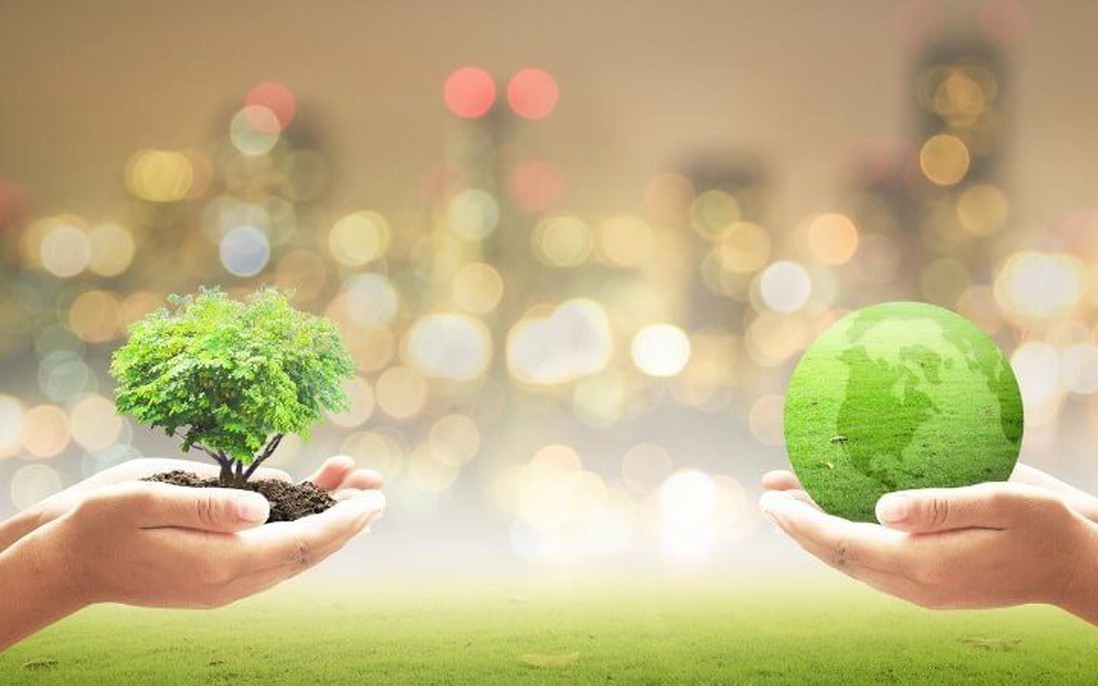 Ngày Môi trường thế giới 5/6: Phụ nữ - Những người hùng thầm lặng trong "cuộc chiến" vì môi trường