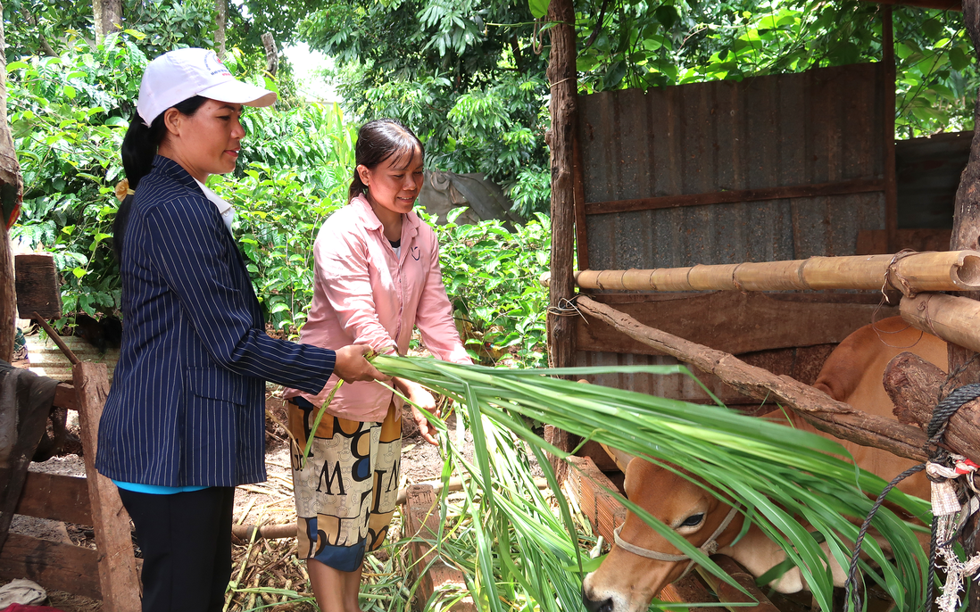 Lan tỏa tinh thần thoát nghèo bền vững của phụ nữ thị trấn Chư Sê