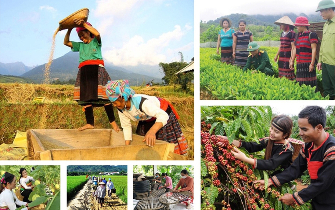 Thực hiện các chương trình mục tiêu quốc gia đồng bộ với mô hình chính quyền địa phương 2 cấp