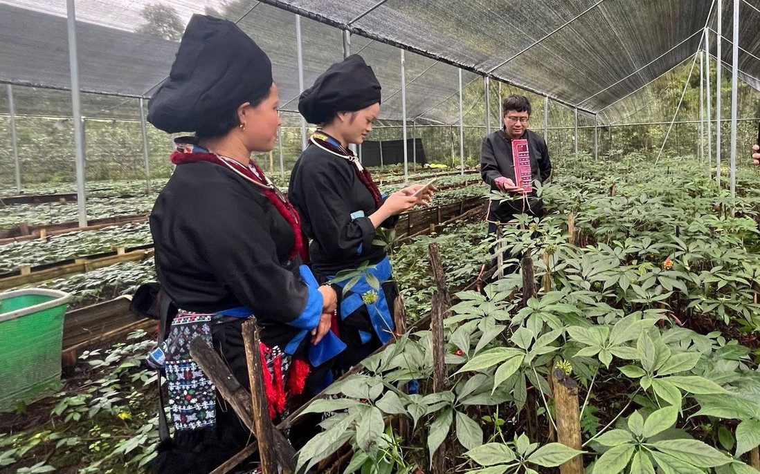 Lai Châu: Phát triển nông nghiệp hàng hóa hoàn thành mục tiêu chương trình xây dựng nông thôn mới