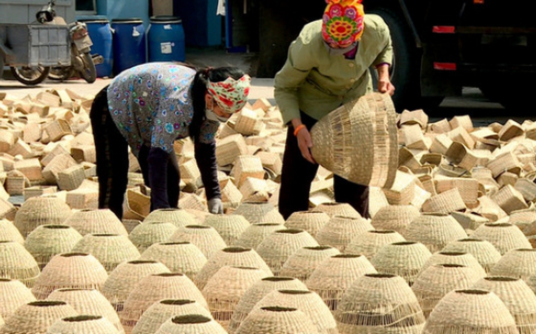 Ninh Bình: Triển khai hiểu quả tín dụng, giúp giảm nghèo bền vững