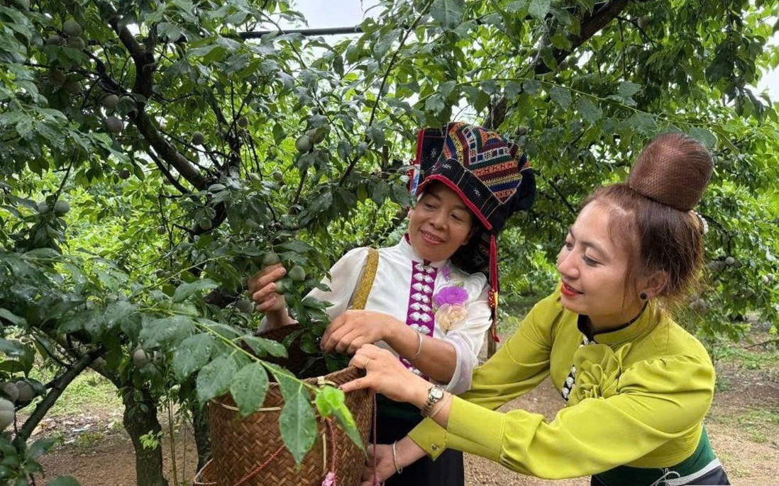 Sơn La: Trao "chìa khóa" giúp nâng cao đời sống phụ nữ dân tộc thiểu số