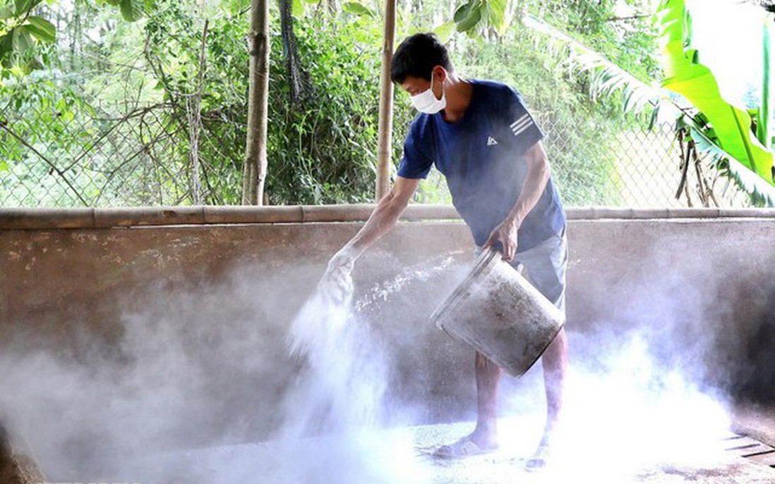 Thủ tướng chỉ đạo triển khai quyết liệt phòng chống dịch tả lợn châu Phi