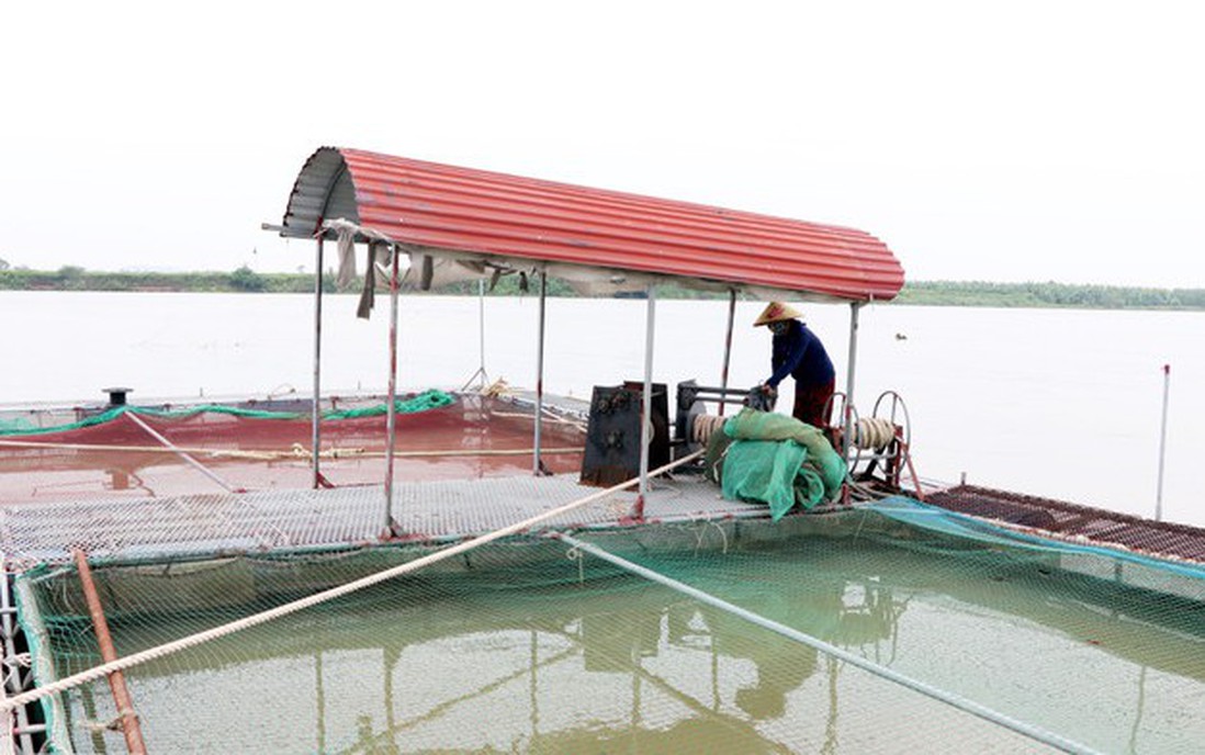 Đề nghị các tỉnh, thành phố đảm bảo an toàn đê điều để ứng phó bão và mưa lũ