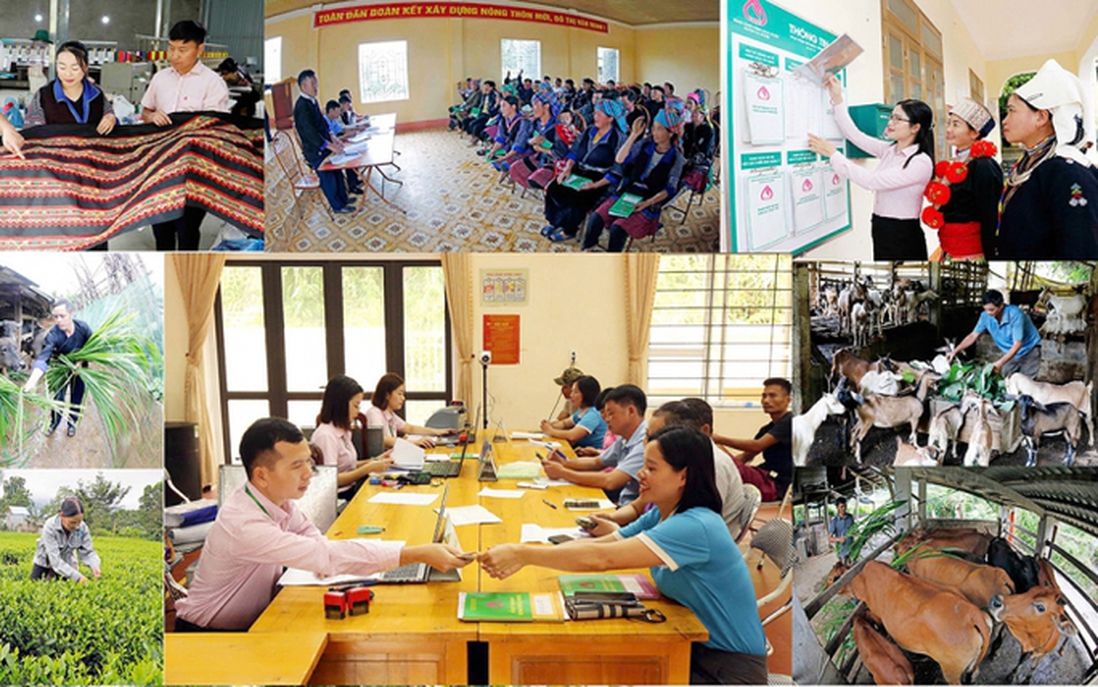 Nâng cao hiệu quả tín dụng chính sách xã hội