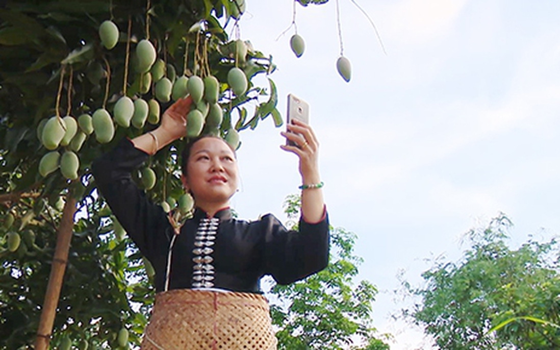Đưa trái cây Sơn La đi xa nhờ ứng dụng công nghệ số
