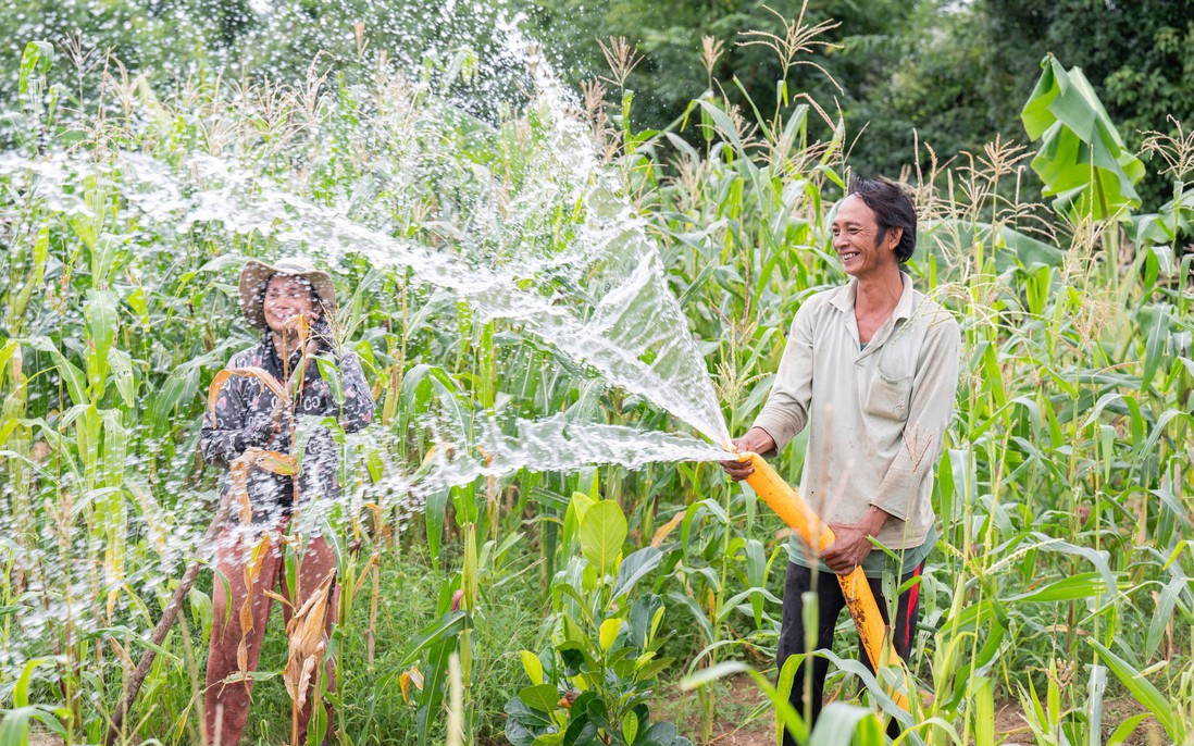 Giúp phụ nữ vùng hạn hán, xâm nhập mặn tiếp cận nước sạch, tạo sinh kế bền vững