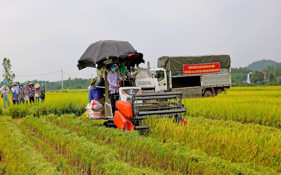 Thái Nguyên: Thúc đẩy kinh tế nông nghiệp gắn với xây dựng nông thôn mới