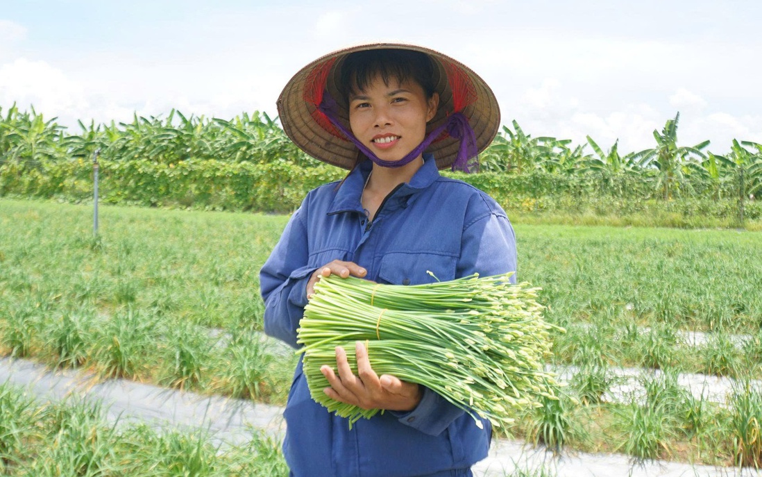 Hưng Yên: Phụ nữ A Sào phát triển kinh tế từ mô hình nông nghiệp xanh bền vững