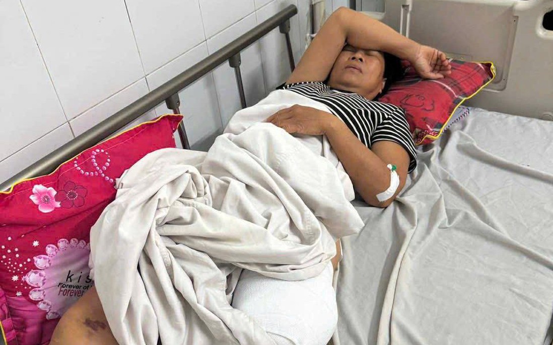 Người đàn bà gánh "cả bầu trời tang thương"