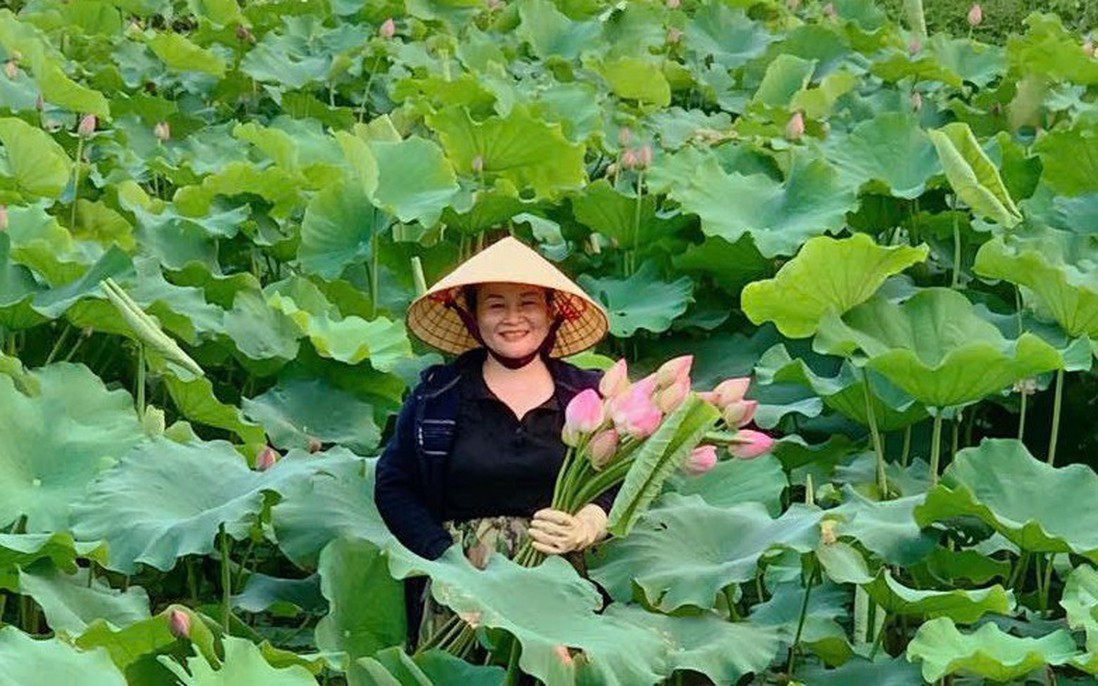 Biến đất hoang thành đầm sen, thu tiền triệu mỗi ngày