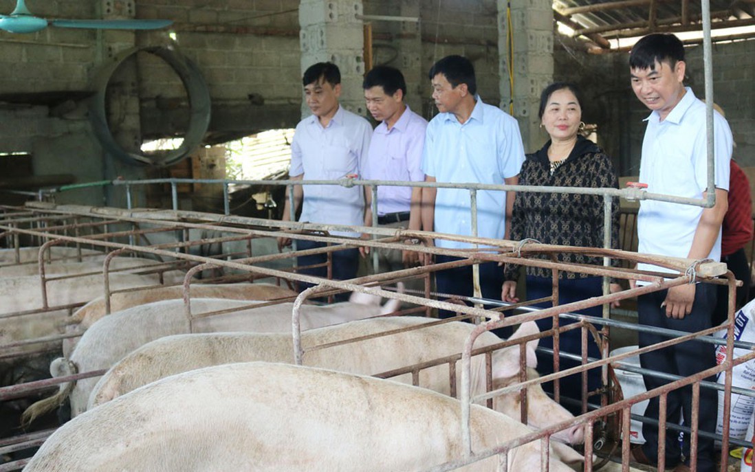 Nông dân làm kinh tế giỏi tạo động lực phát triển kinh tế nông thôn