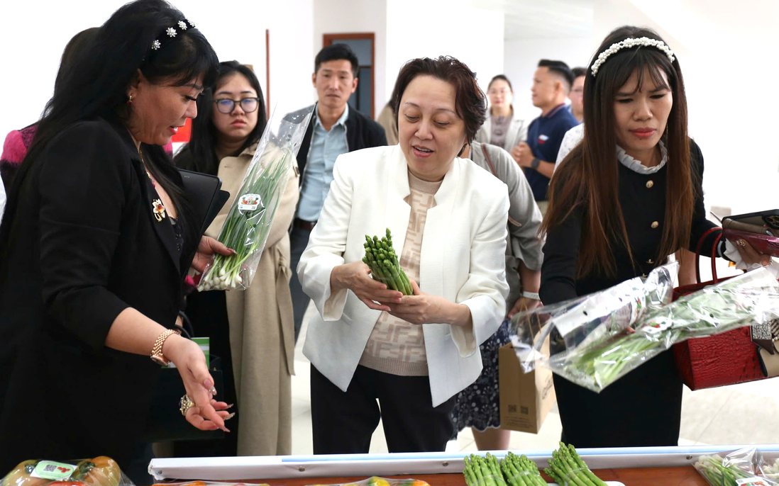 TPHCM và Lâm Đồng thúc đẩy hợp tác chiến lược, đảm bảo nguồn cung nông sản an toàn