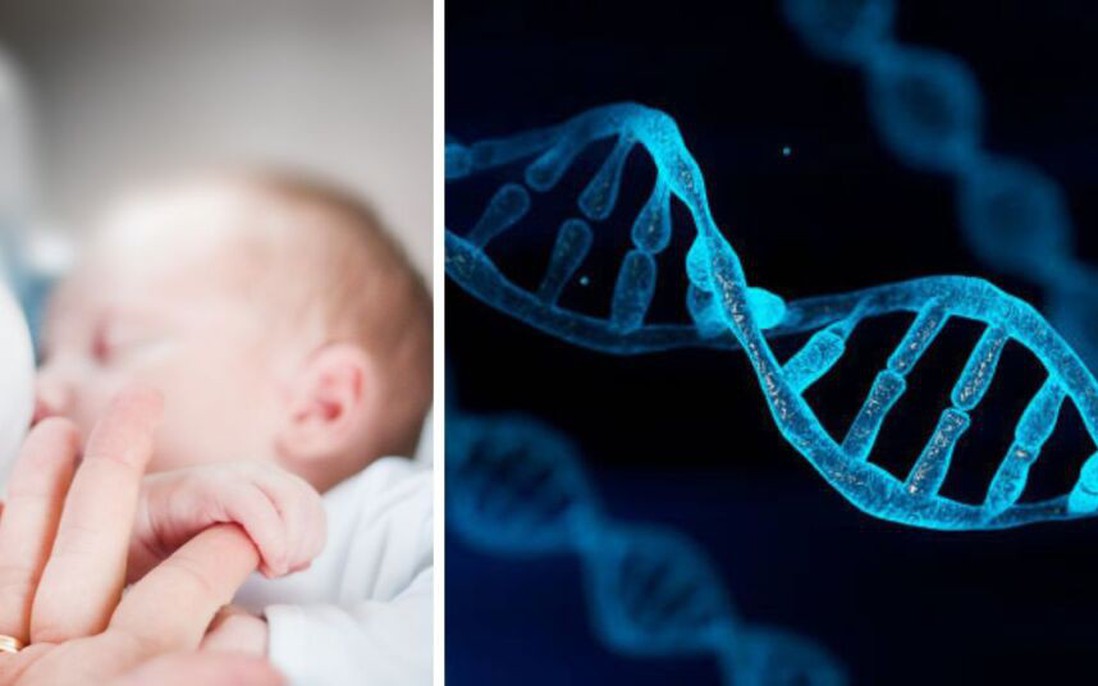 Sử dụng DNA của 3 người để tránh bệnh di truyền cho trẻ sơ sinh