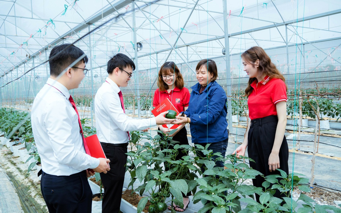 Agribank tung gói tín dụng ưu đãi lớn lên tới 110.000 tỷ đồng ngay từ đầu năm 2025