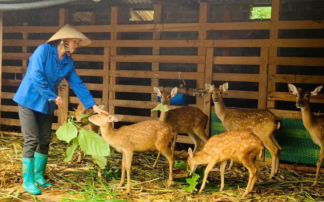 Điểm tựa giúp người dân Lai Châu vươn lên thoát nghèo