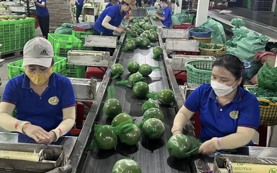 UOB: "Chính sách thuế vẫn là rào cản lớn với Việt Nam"