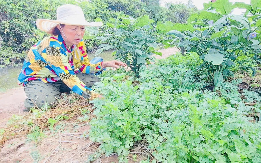 Nữ tổ trưởng tích cực hỗ trợ chị em phát triển kinh tế gia đình