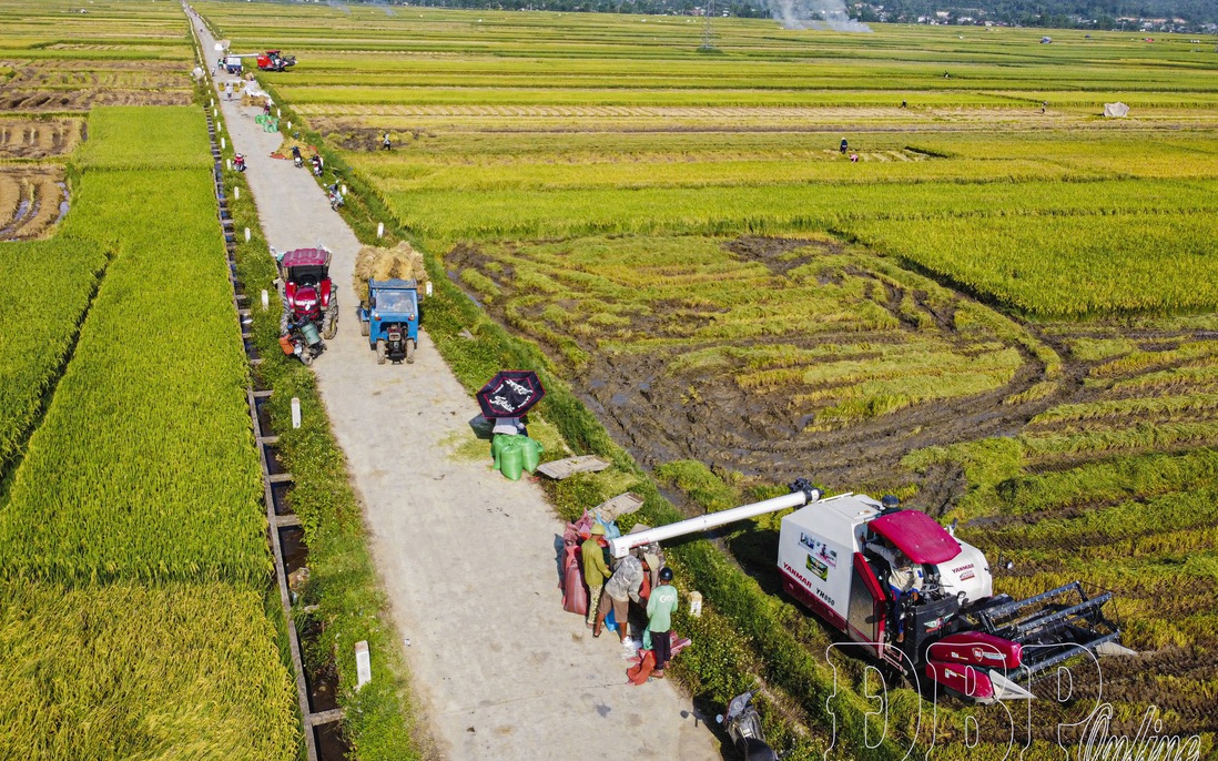 Điện Biên: Tập trung nguồn lực phát triển hạ tầng nông nghiệp, nông thôn