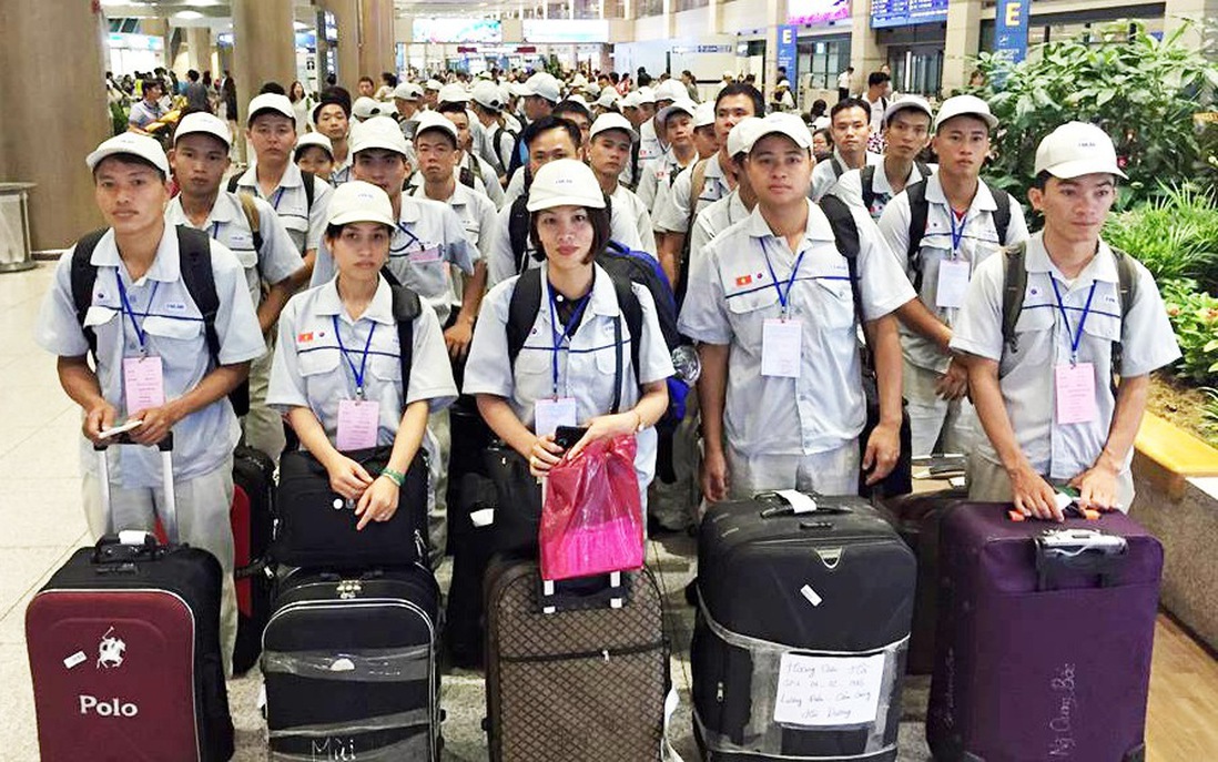 Làm gì để đi xuất khẩu lao động "đúng cửa"?