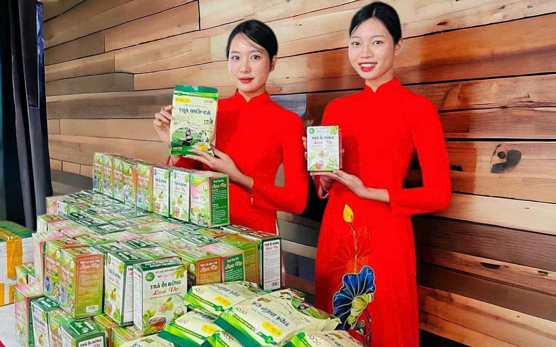 Nữ doanh nhân miền miền núi phát triển dược liệu bản địa