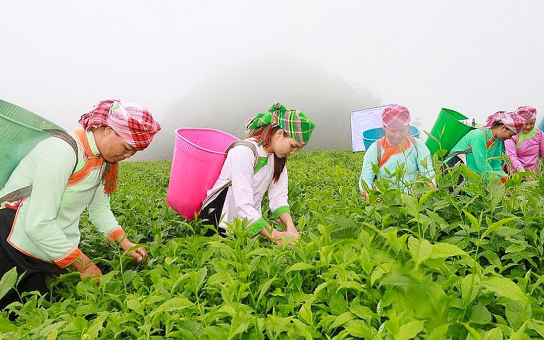 Lào Cai: Đặt mục tiêu giảm tỷ lệ hộ nghèo dưới 4% vào năm 2030