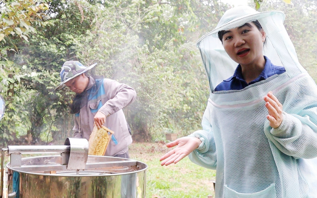Viết giấc mơ khởi nghiệp từ những giọt mật