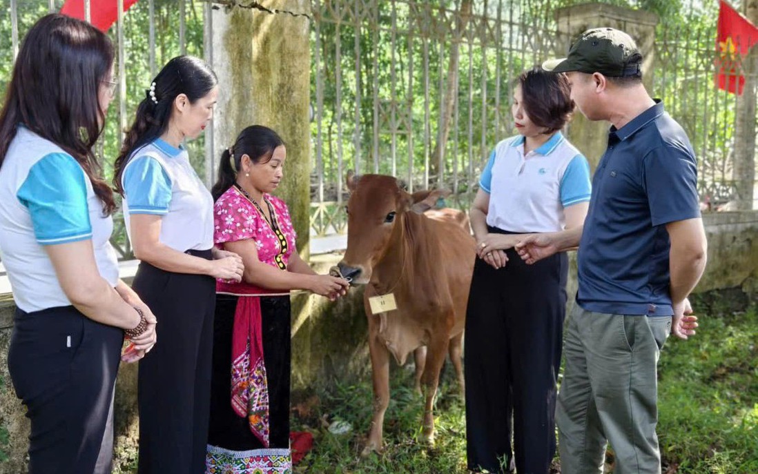 Chăm lo đời sống đồng bào dân tộc thiểu số ngày càng tốt hơn