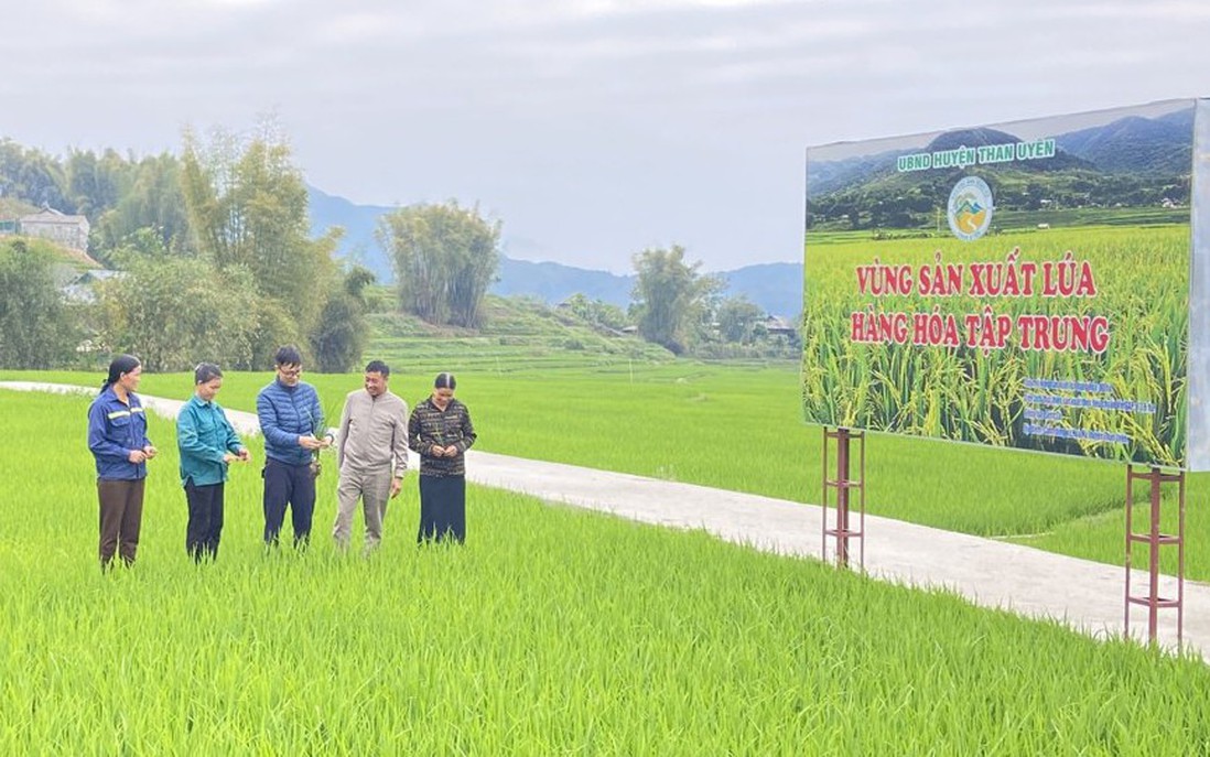 Lai Châu: Hướng dẫn hỗ trợ phát triển sản phẩm OCOP khi thực hiện chính quyền địa phương 2 cấp