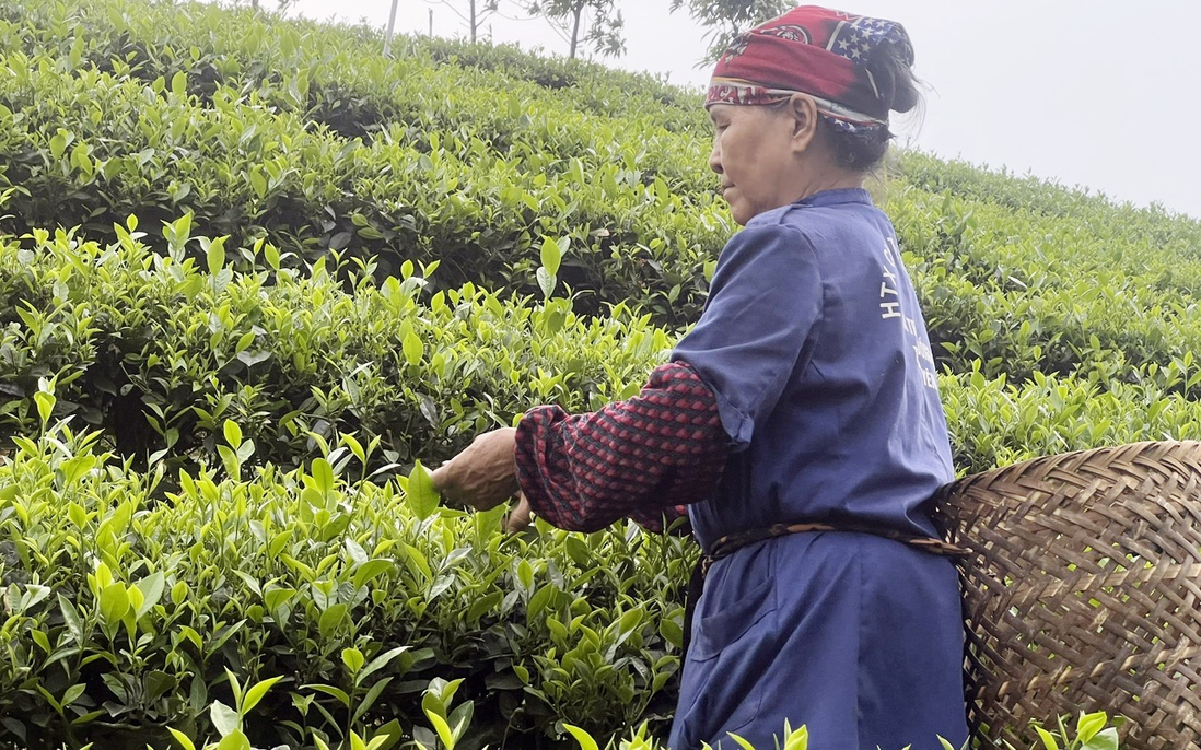 Thái Nguyên đặt mục tiêu 70% số xã đạt chuẩn nông thôn mới