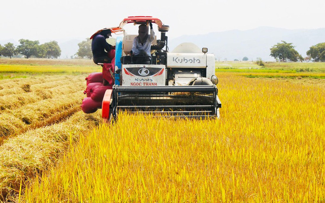 Xã Ia Rbol quyết tâm bứt phá, phát triển toàn diện 
