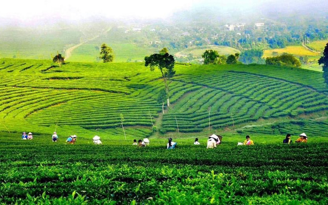 Phấn đấu đến năm 2030, toàn tỉnh Lai Châu có 10 xã đạt chuẩn Nông thôn mới