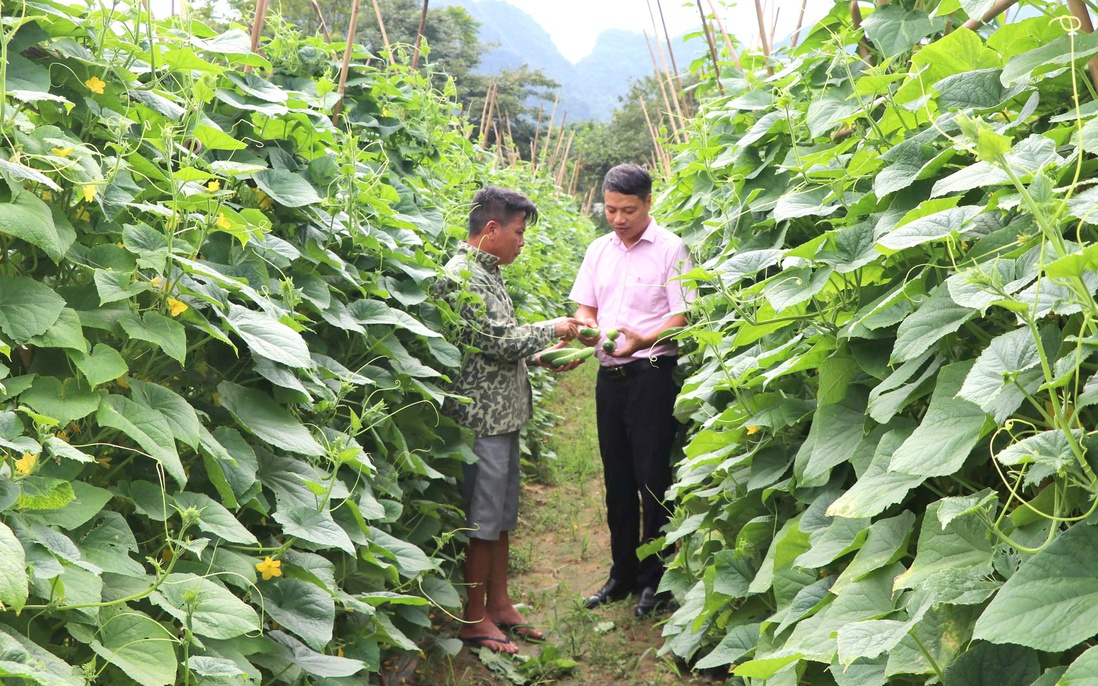 "Đòn bẩy" giúp người dân phát triển kinh tế nông nghiệp hiệu quả