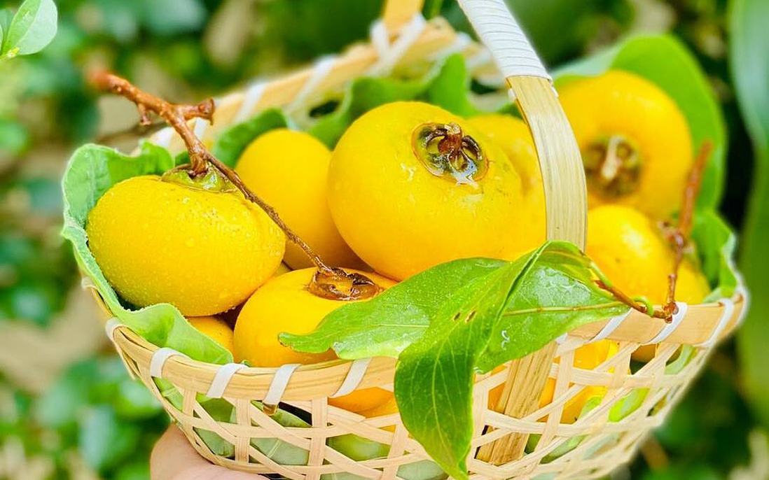 Hương thị chín sau nhà