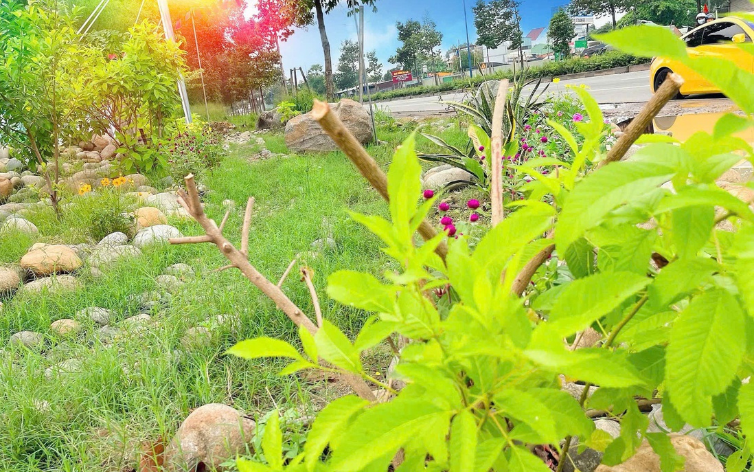 TPHCM: Khánh thành "Công viên Hoa" điểm nhấn xanh giữa lòng phường Tân Đông Hiệp