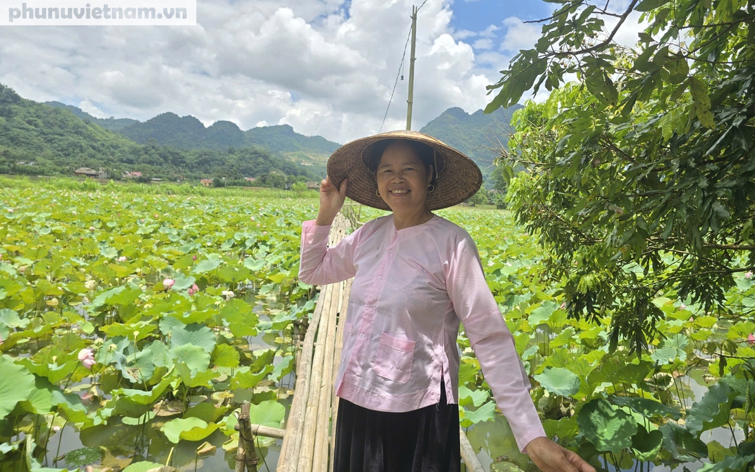 Ý tưởng làm du lịch từ đầm sen quê của người phụ nữ dân tộc Tày 