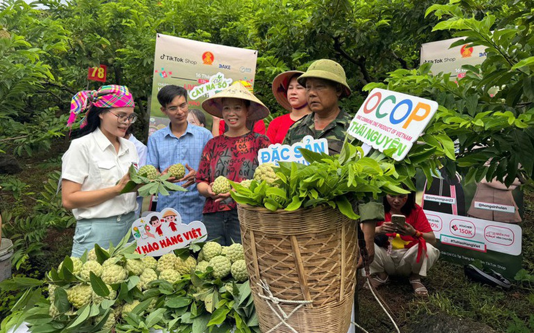 Thái Nguyên: Chốt gần 1.500 đơn trong phiên bán nông sản trực tuyến
