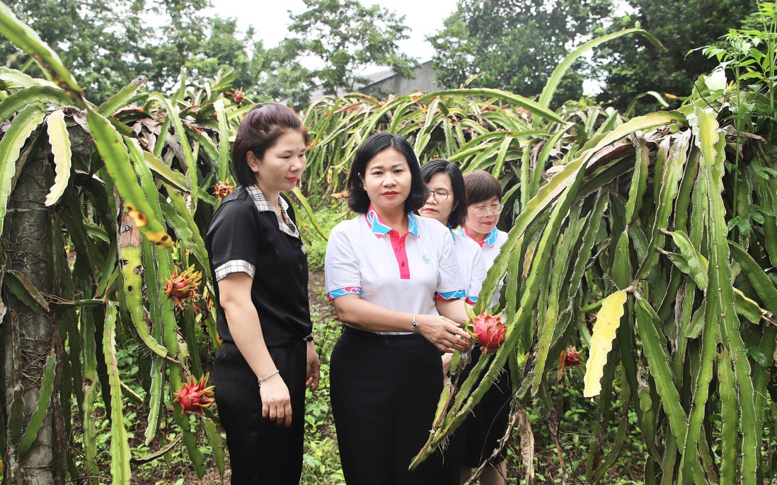 Lãnh đạo Hội LHPN Việt Nam kiểm tra, giám sát việc thực hiện Dự án 8 tại Tuyên Quang
