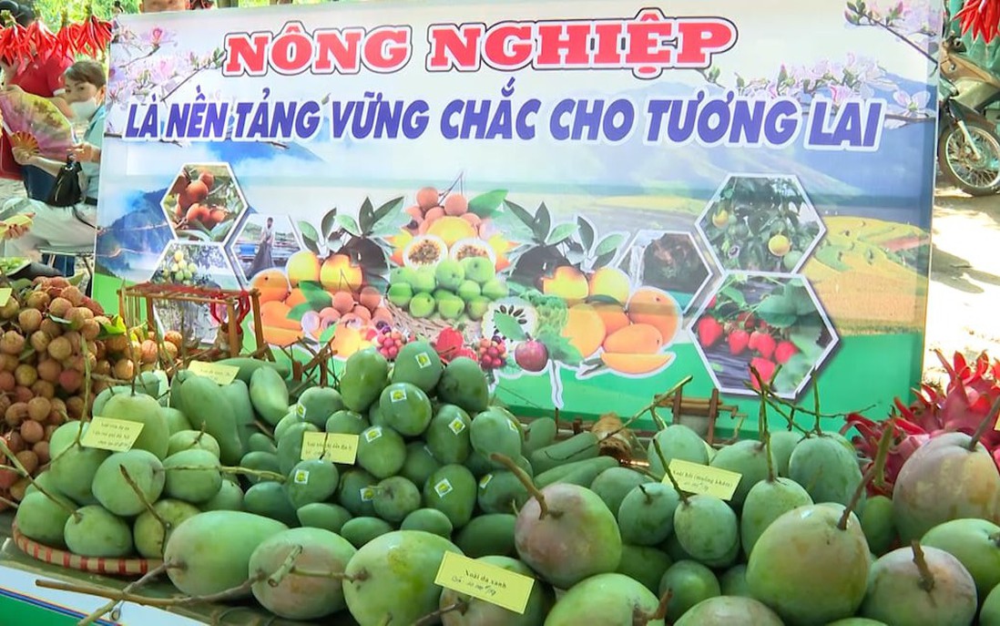 Tập trung phát triển sản phẩm nông sản chất lượng cao ở Yên Châu