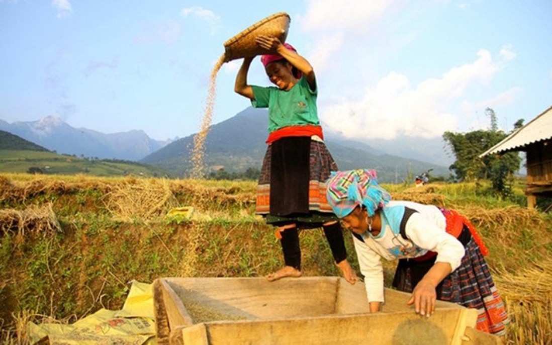 Xây dựng nông thôn mới cần thực hiện chuyển đổi số nông nghiệp, quản lý nông thôn vùng Tây Bắc