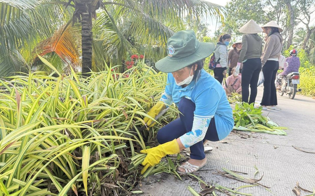 Phụ nữ Vĩnh Long chung tay xây dựng nông thôn mới bằng nhiều mô hình thiết thực, hiệu quả