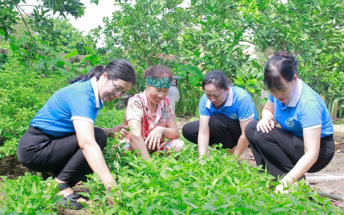 Phụ nữ Quảng Ninh: Đa dạng hoạt động bảo vệ môi trường, chung sức xây dựng nông thôn mới