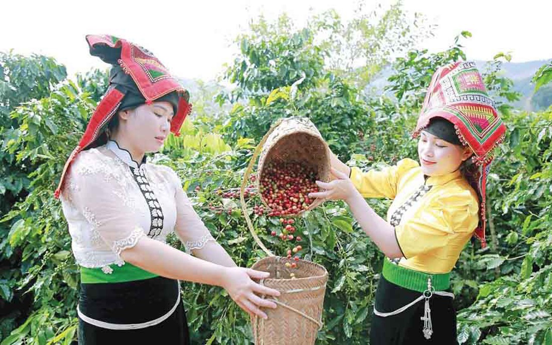 Cần kết hợp hỗ trợ năng lực cá nhân với thay đổi nhận thức cộng đồng về quyền năng kinh tế phụ nữ DTTS