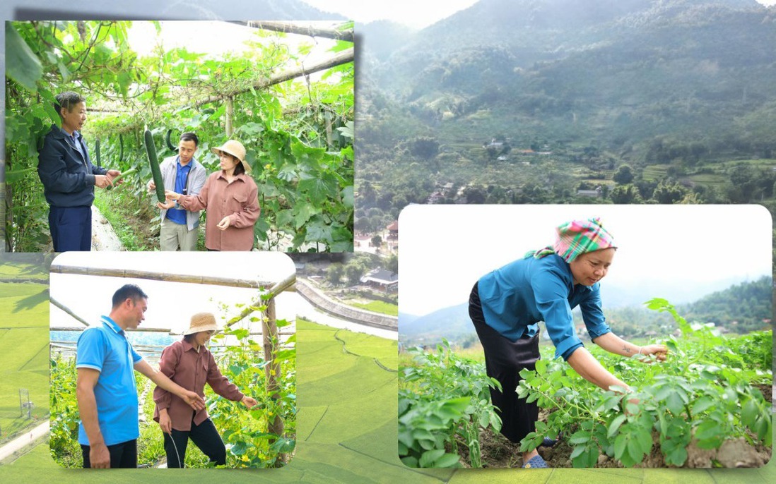 Xã Mường Kim phấn đấu thu nhập bình quân đầu người đạt 63 triệu đồng/năm