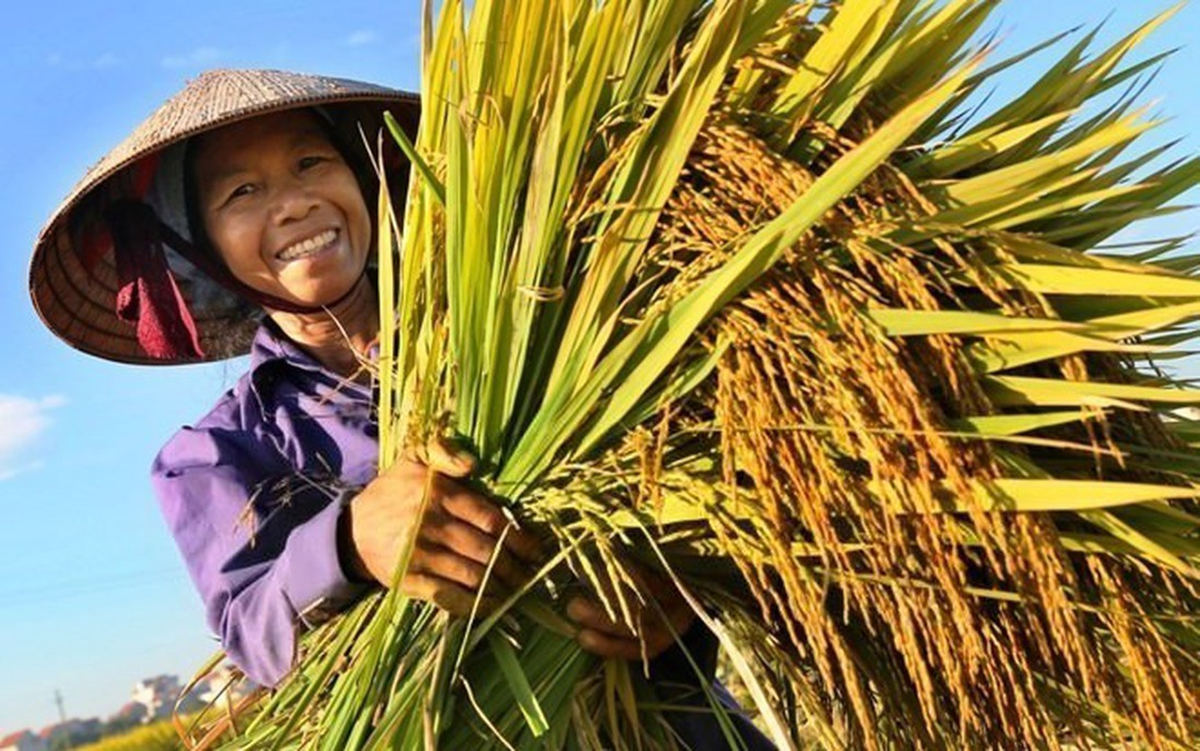 Hiệu quả của Chính sách giảm nghèo giai đoạn 2021-2025
