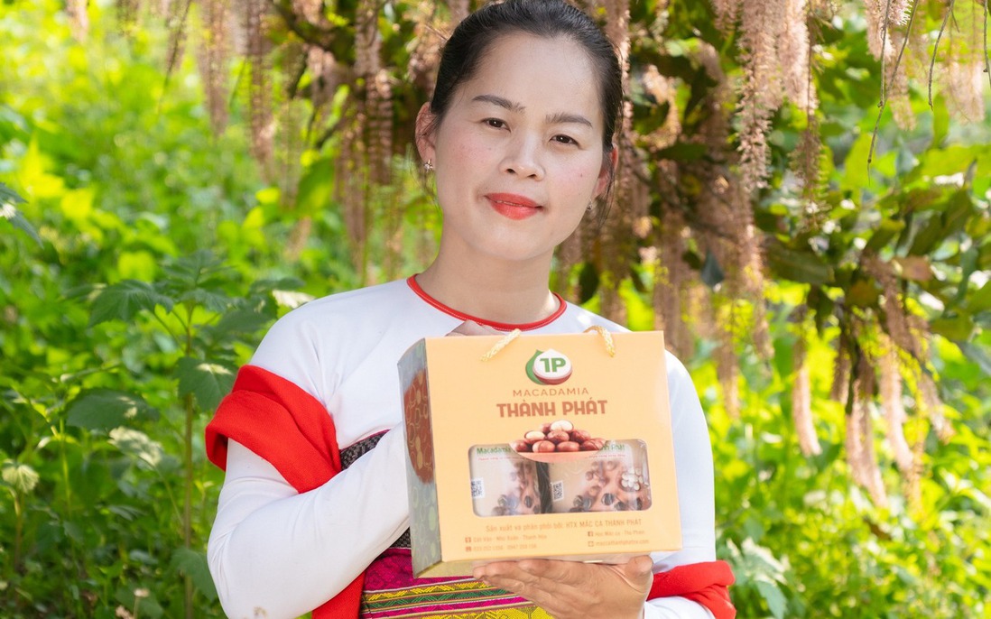 Cây mắc-ca mở hướng phát triển kinh tế mới cho phụ nữ vùng dân tộc thiểu số xứ Thanh